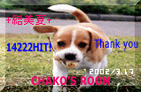 14222.gif