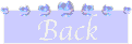 b2_back.gif