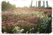 takeiteasy011004.jpg