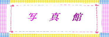 takeiteasy011011.jpg