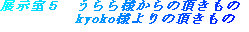 takeiteasy015005.jpg