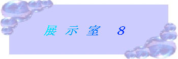 takeiteasy024005.jpg