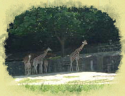 takeiteasy025005.jpg