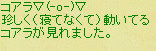 takeiteasy025007.jpg