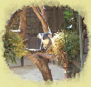 takeiteasy025009.jpg
