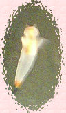 takeiteasy028003.jpg