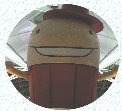 takeiteasy031004.jpg