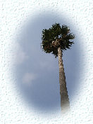 takeiteasy031009.jpg